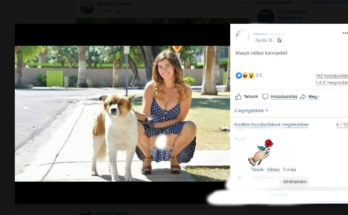 A Facebookon szabad a puncit mutogatni