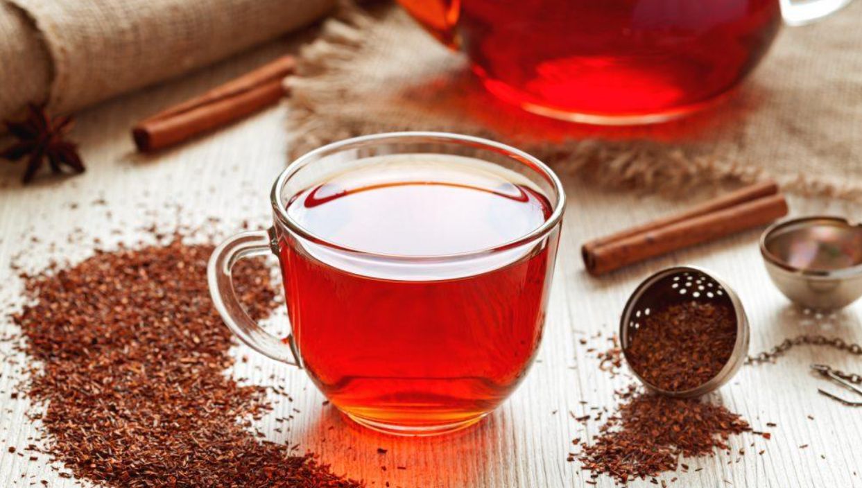 rooibos-tea