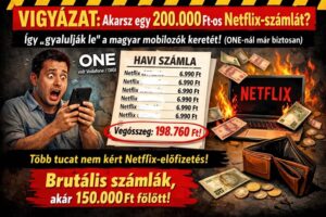 kamuwebshopok-hu-digitalis-csalas-one-netflix-csalas