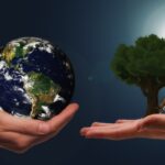 zold-energia--pixabay