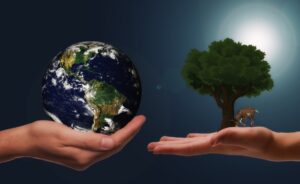 zold-energia--pixabay