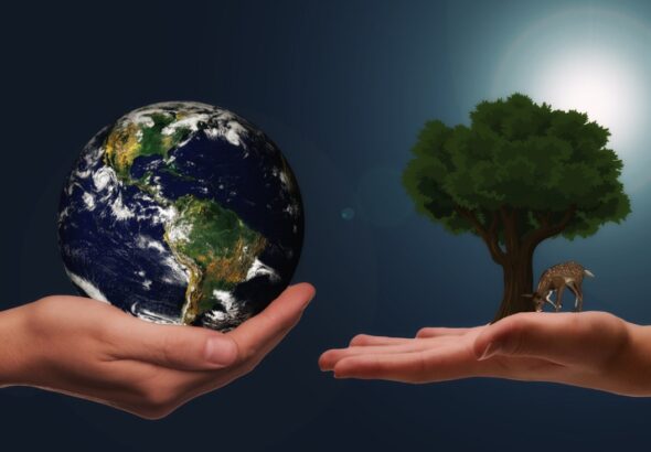 zold-energia--pixabay